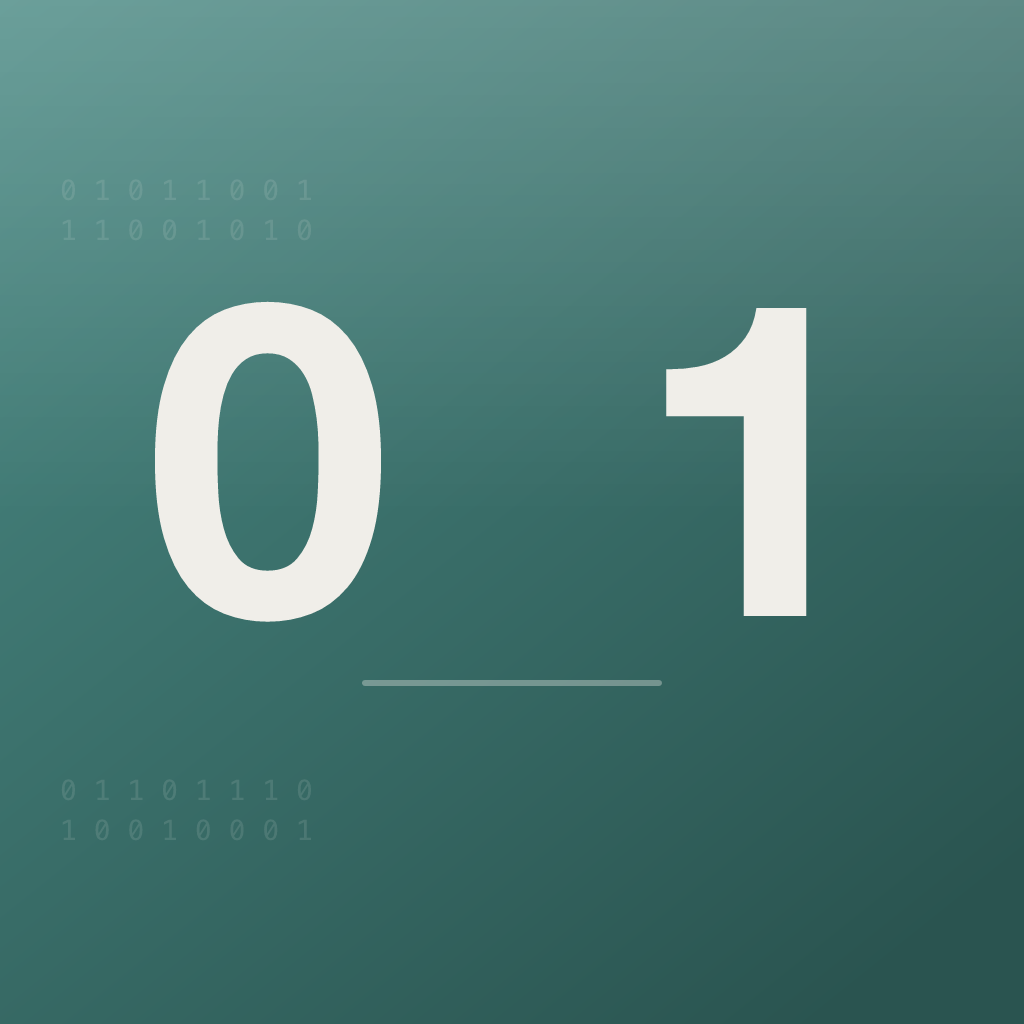 Binafy app icon