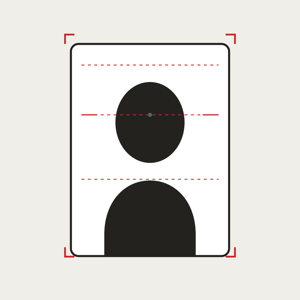 Visaframe app icon